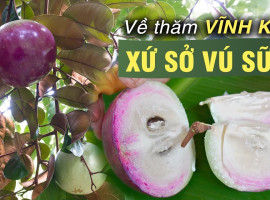 (Tiếng Việt) Top những đặc sản Tiền Giang ngon khó cưỡng
